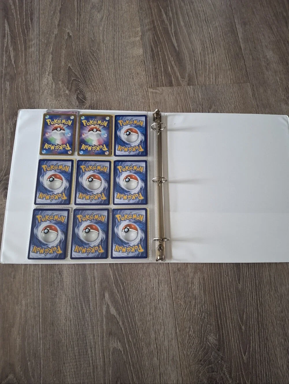 Pokemon organize display